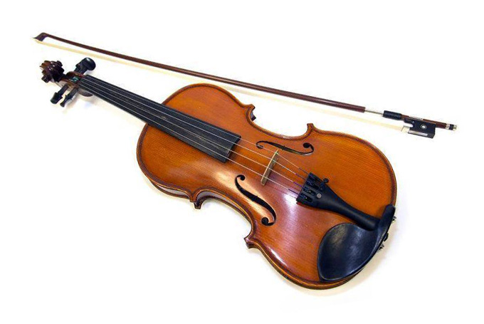 violi